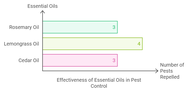 Top Three Essential Oils for Indoor Plants