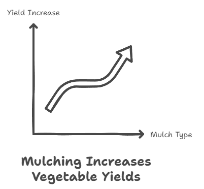 Mulching and Moisture Retention