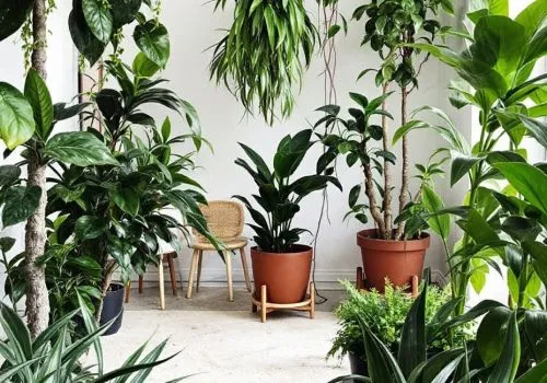 Urban_Jungle__Picture_a_spacious_open-plan_living_ Urban_Jungle__Picture_a_spacious_open-plan_living_