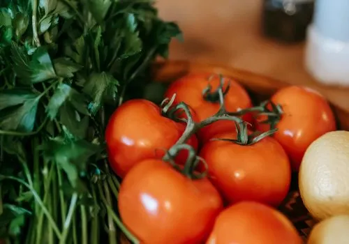 pexels-gary-barnes-6248767 indoor edible gardening